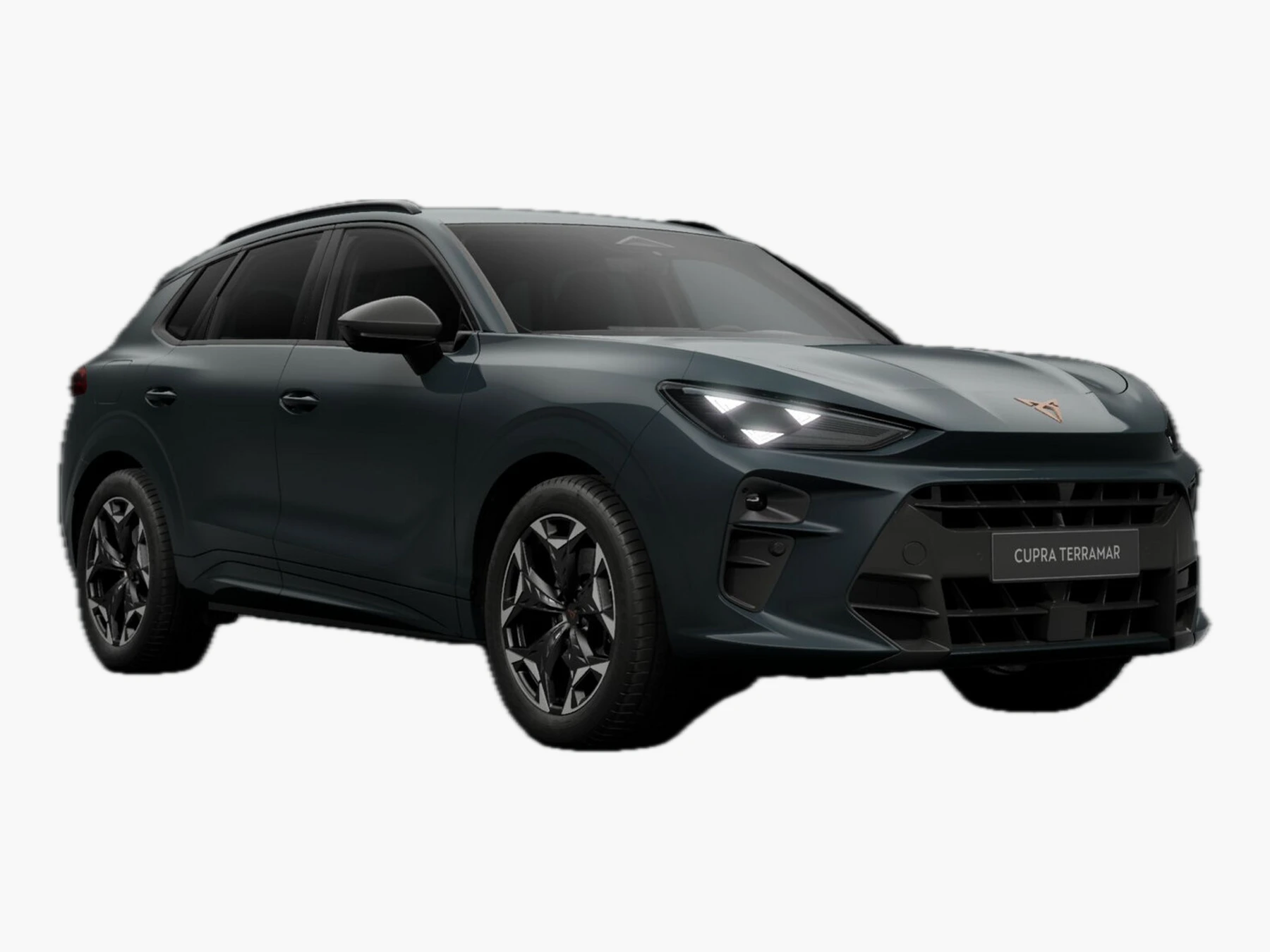 CUPRA Terramar VZ 4D Pano AHK eHk Kam SHZ ACC 3ZClim – Bild 2